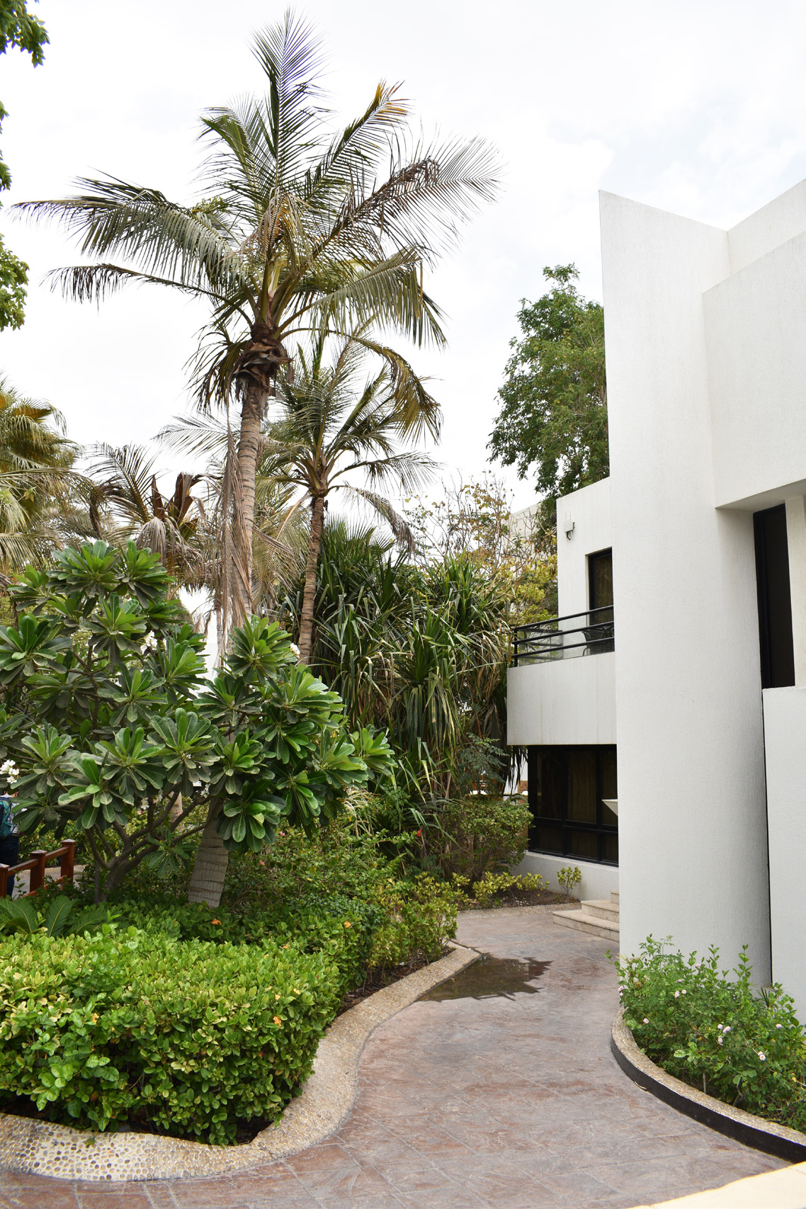 Landscaped garden path between villas at Dubai Marine Beach Resort